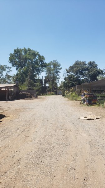 Terreno de 5.000 m&sup2; calle Tucapel