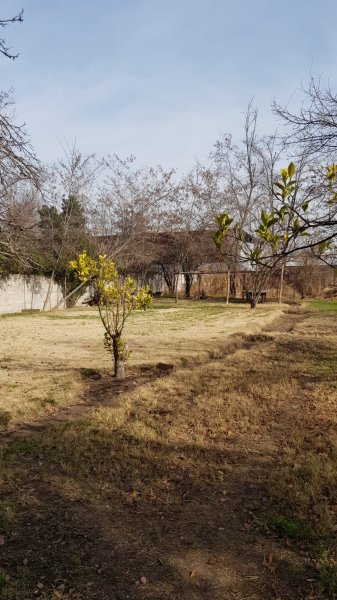 Terreno 5.000 m&sup2;  P. 45 Santa Rosa